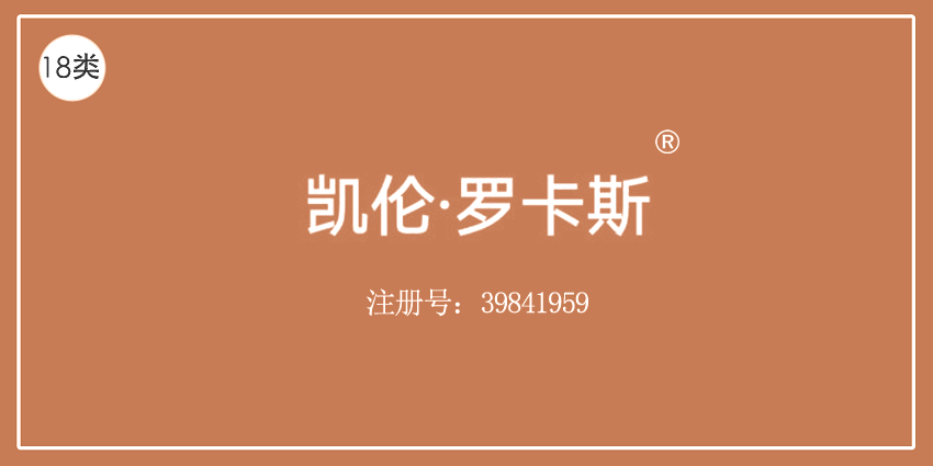 18類皮革皮具