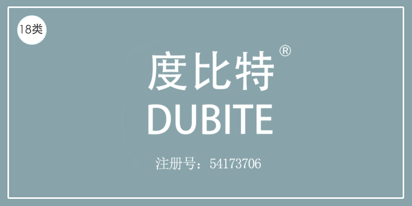 18類皮革皮具