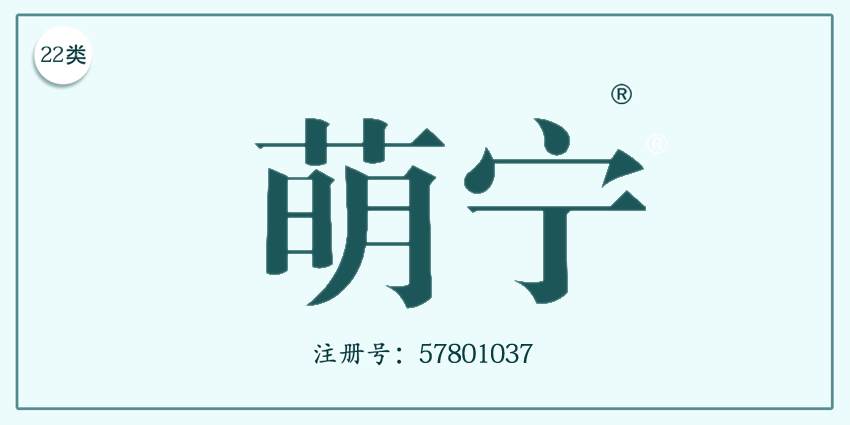22類繩網袋篷