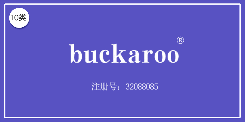 10類醫(yī)療器械