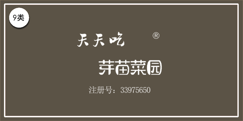 09類電子電器