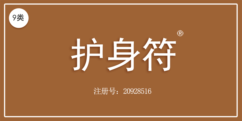 09類電子電器