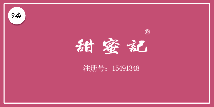 09類電子電器