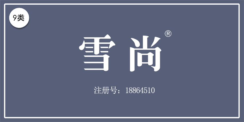 09類電子電器
