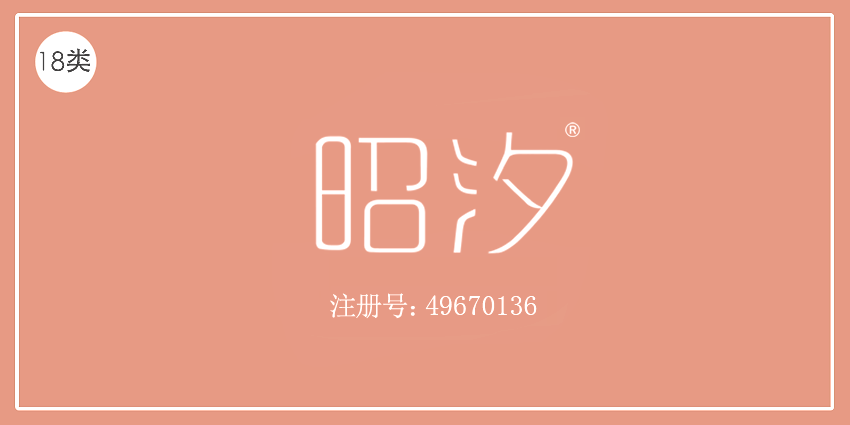 18類皮革皮具