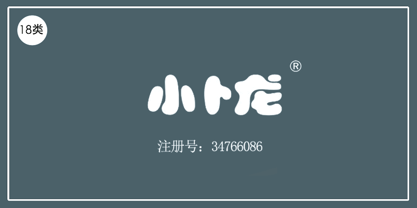 18類皮革皮具