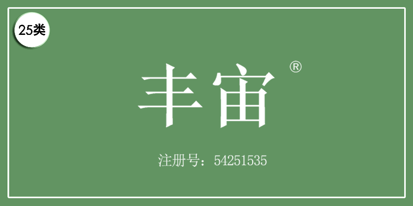 25類服裝鞋帽
