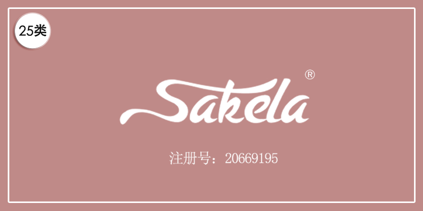 25類服裝鞋帽