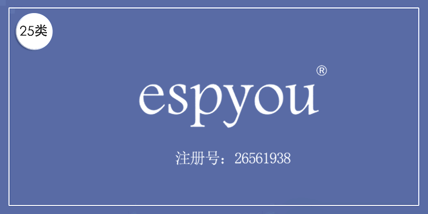 25類服裝鞋帽