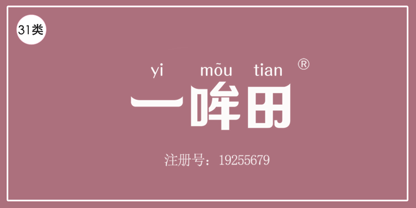 31類飼料種子